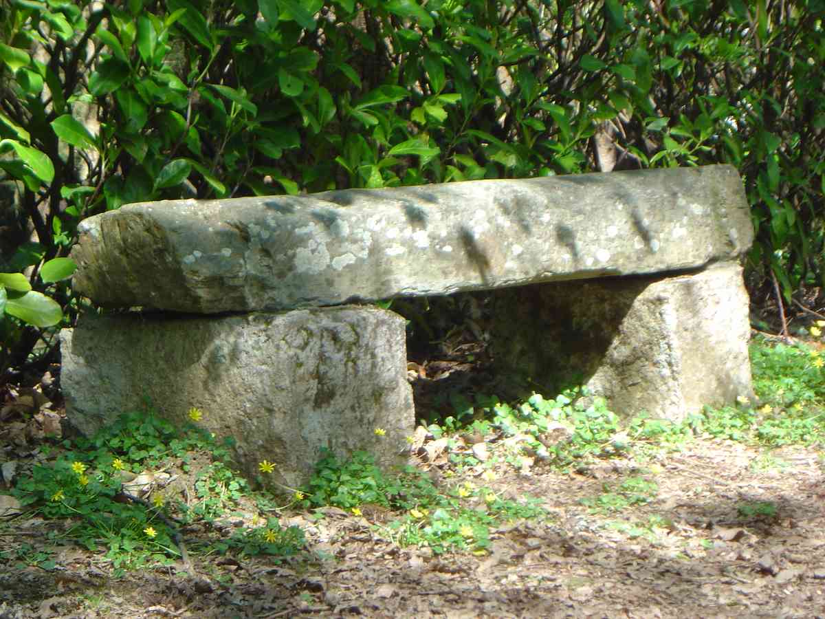 Parc 8_1200