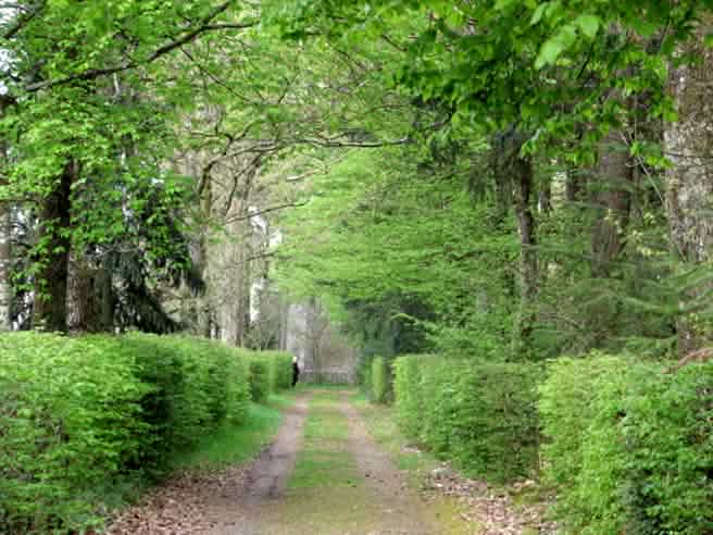 allee_st_joseph