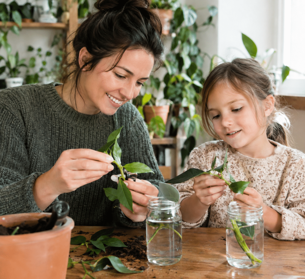Atelier bouturage parents/enfants
